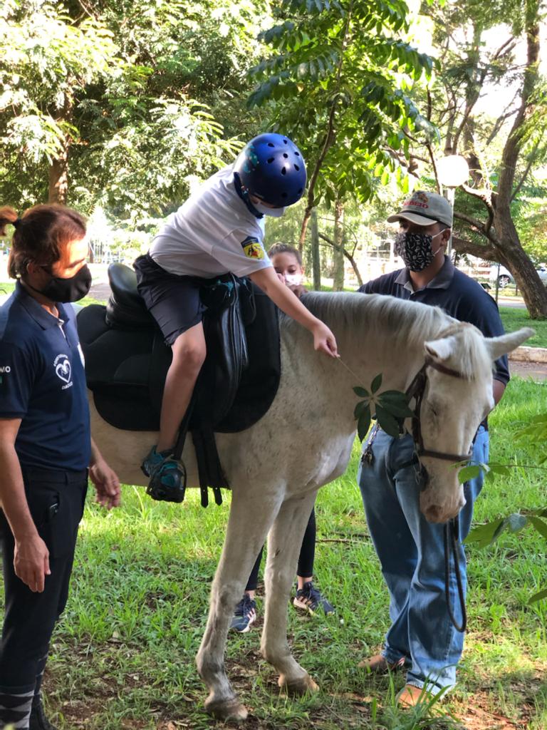 Andar do cavalo promove estímulos que ajudam na reeducação das funções motoras, explica fisioterapeuta